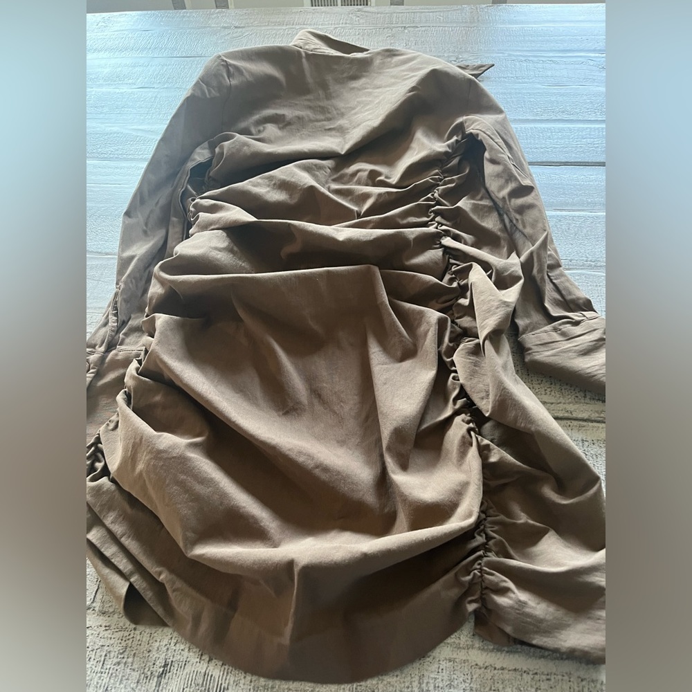 Zara dress